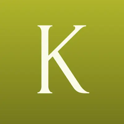 Кавказэлектросервис плюс, сервисная компания, лого-визитка