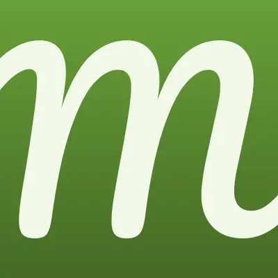 Maxi-gas, установочный центр, лого-визитка
