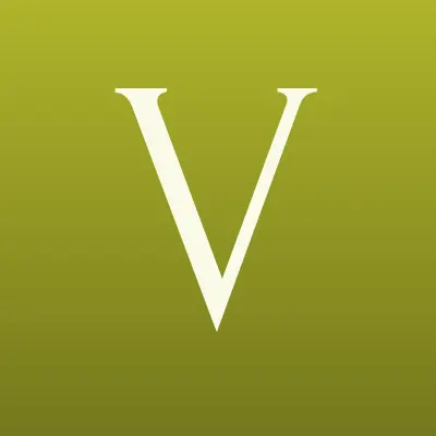 Viva деньги, микрофинансовая организация, лого-визитка